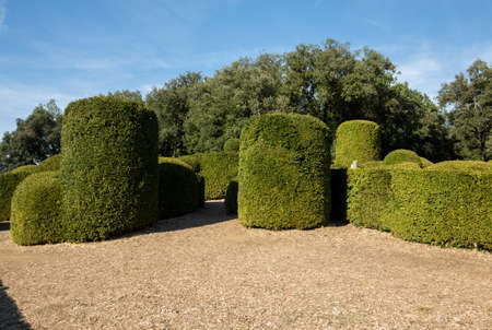 Dordogne, France - September 3, 2018:  Topiary in the gardens of the Jardins de Marqueyssac in the Dordogne region of Franceのeditorial素材