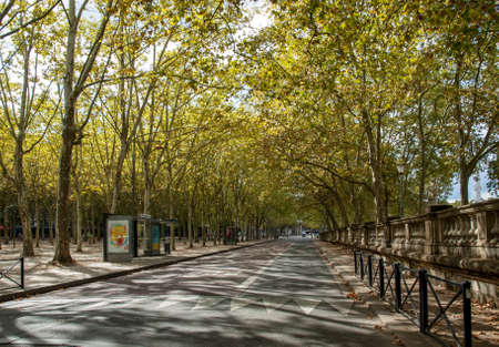 Bordeaux, France - September 9, 2018: Public garden along Place des Quinconces, Bordeaux France, with a canopy of green trees.のeditorial素材