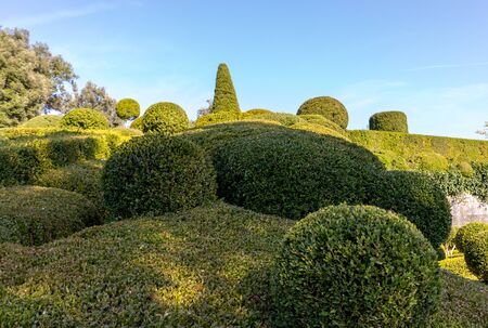 Topiary in the gardens of the Jardins de Marqueyssac in the Dordogne region of Franceの写真素材