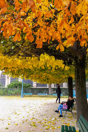 Paris, France - November 2017: Romantic and beautiful autumn scenery of Parisのeditorial素材