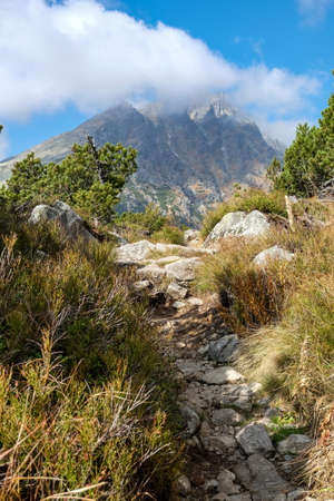 Great Cold Valley in High Tatras, Slovakia. The Great Cold Valley is 7 km long valley, very attractive for touristsの写真素材