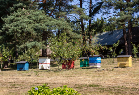 An apiary with old wooden hives in a rural garden
