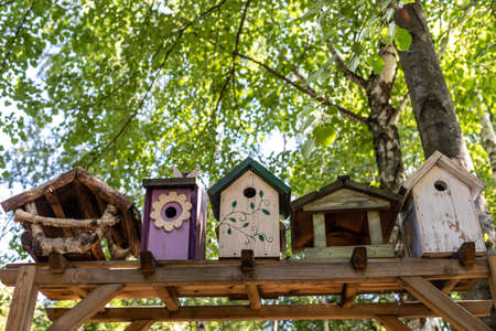 Old decorative bird feeders and wooden birdhousesの写真素材