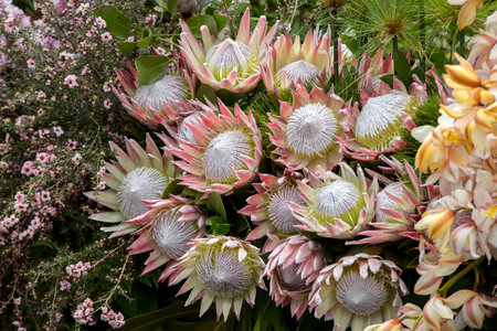 Beauty floristic decoration with colorful tropical flowersの写真素材