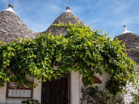 Alberobello, Italy - September 16, 2019: Trulli house overgrown with vines in Alberobello, Puglia, Italyのeditorial素材
