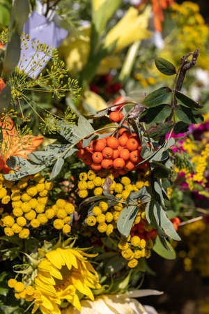Traditional bouquet of flowers, herbs and fruits that are the symbol of summerの写真素材