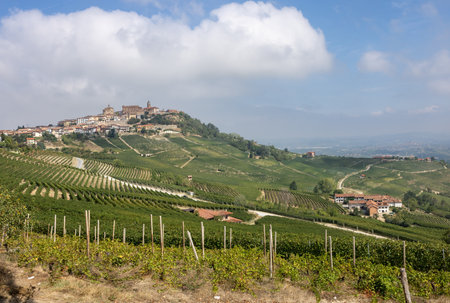Langhe vineyards near La Morra, Unesco Site, Piedmont, Italyの写真素材