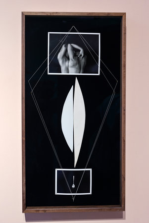 Venice, Italy - September 6, 2022: 59th Venice Art Biennale in Venice. Corporeal Nature by Sheree Hovsepian in the central pavilion of the Biennale at the Giardini.のeditorial素材