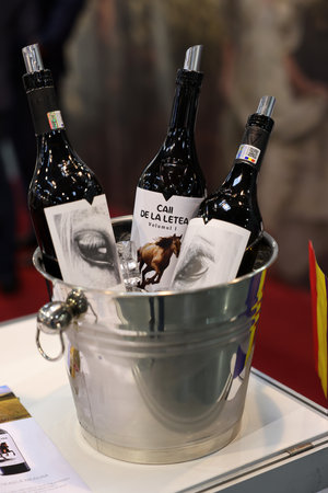 Cracow, Poland - November 17, 2022: International Wine Trade Fair ENOEXPO in Cracow. Producers of wine from all around the world meet the importers distributors and representatives.のeditorial素材