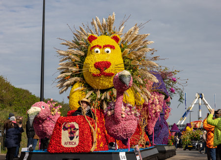 Noordwijk, Netherlands - April 22, 2023: Spectacular flower covered floats in the Bloemencorso Bollenstreek the annual spring flower parade from Noordwijk to Haarlem in the Netherlands.のeditorial素材