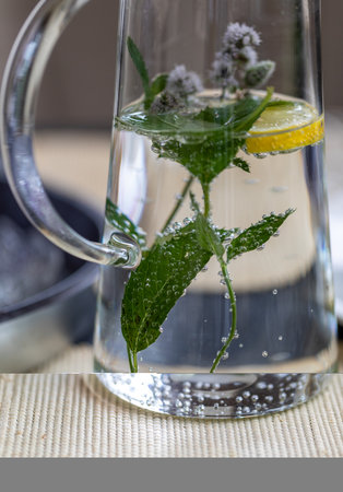 Fresh water with lemon and mint is the best for a hot dayの写真素材