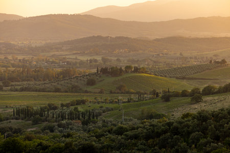 Farmland and olive groves around Montemassi in the province of Grosseto. Italyの写真素材