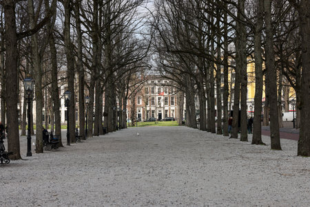 The Hague, Netherlands - April 17, 2023: Walking alley with beautiful trees in the park at Lange Voorhout in The Hagueのeditorial素材