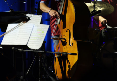 Double bass on the stage during the concertの写真素材