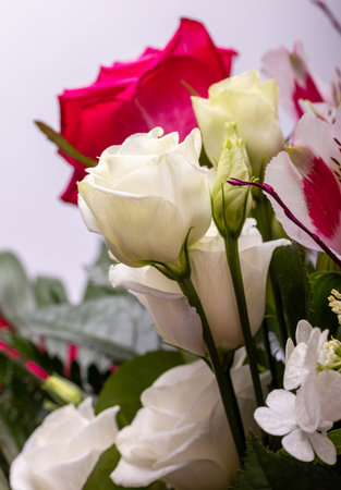 beautiful florist bouquet of roses and freesiasの写真素材