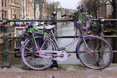 Amsterdam, Netherlands - April 21, 2023: Old lavender colored bicycle on the bridge in De Wallen - called the red light district. It is famous for its entertainment characterのeditorial素材