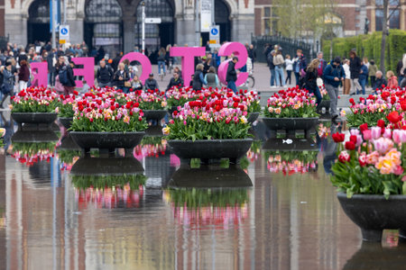 Amsterdam, Netherlands - April 21, 2023: Colorful tulips flowers in the pond in front of the Rijksmuseum in Amsterdam. Netherlandsのeditorial素材