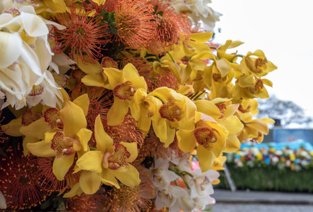 Beauty floristic decoration with colorful tropical flowersの写真素材