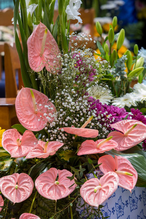Beauty floristic decoration with a large pink anthurium tropical flowerの写真素材