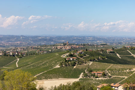 View of Langhe vineyards from Roddino UNESCO Site, Piedmont, Italyの写真素材