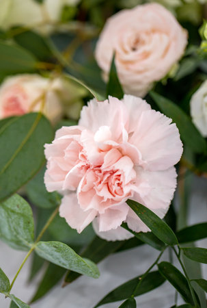 Beautiful floral bouquet with roses, carnations and astrantiaの写真素材