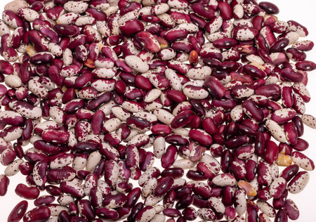 raw red with white speckled kidney beansの写真素材