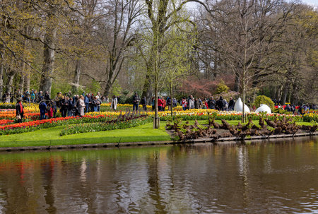 Keukenhof, Lisse Netherlands - April 18, 2023: Visitors at the Keukenhof Garden in Lisse, Netherlands.のeditorial素材