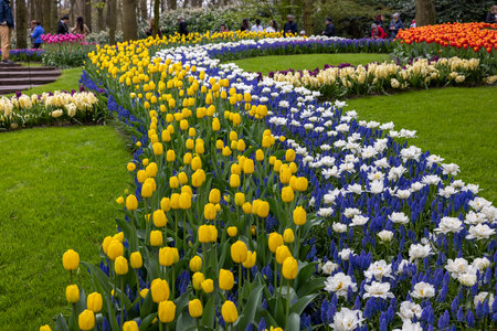 Keukenhof, Lisse Netherlands - April 18, 2023: Colorful flowers in the Keukenhof Garden in Lisse, Holland, Netherlands.のeditorial素材