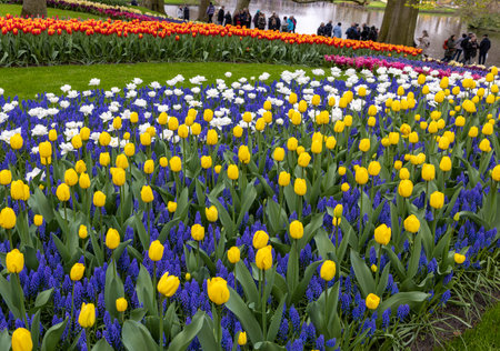 Keukenhof, Lisse Netherlands - April 18, 2023: Visitors at the Keukenhof Garden in Lisse, Netherlands.のeditorial素材