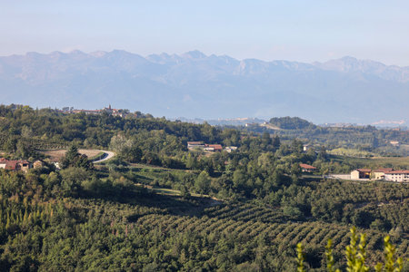 View of the Langhe-Roero hills in Piedmont with the Alps in the background. Italy