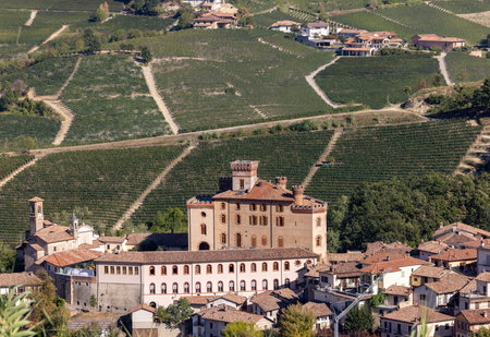 The town of Barolo, with the Falletti castle, surrounded by vineyards in Langhe region. Piedmont,...