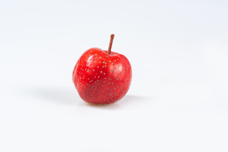 Fresh hawthorn close-up on whiteの写真素材
