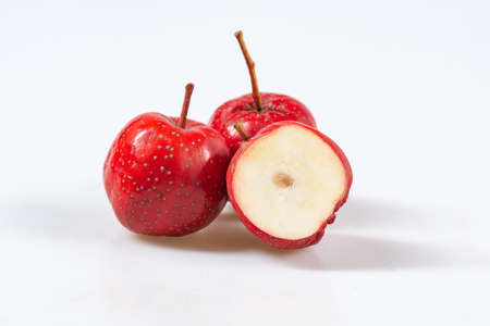 Fresh hawthorn close-up on whiteの写真素材