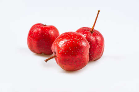 Fresh hawthorn close-up on whiteの写真素材