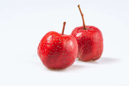 Fresh hawthorn close-up on whiteの写真素材