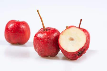 Fresh hawthorn close-up on whiteの写真素材