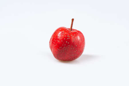 Fresh hawthorn close-up on whiteの写真素材
