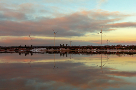 Lake landscape in Senftenbergの写真素材