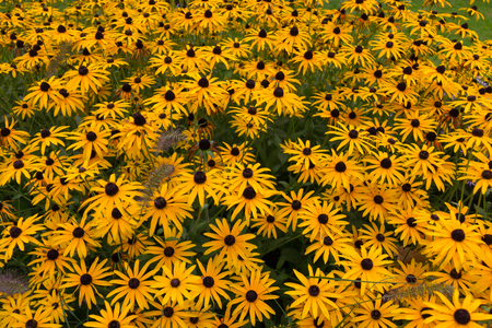 Sunhat hatの写真素材