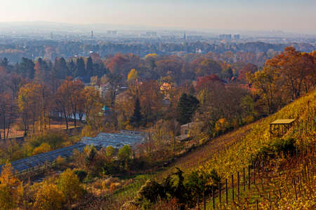 view from the pillnitz mountains over the surrounding areaの写真素材