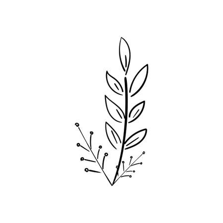 hand drawn  botanical leaf doodle wildflowerのイラスト素材