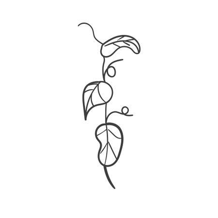 Hand Drawn Botanical Leaf Doodle Wildflowerのイラスト素材