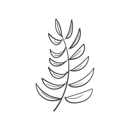 Hand Drawn Botanical Leaf Doodle Wildflowerのイラスト素材