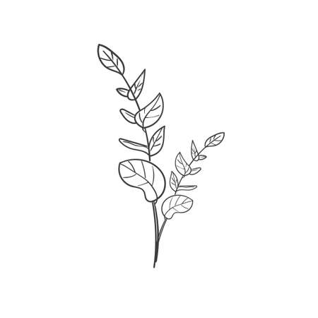 Hand Drawn Botanical Leaf Doodle Wildflowerのイラスト素材