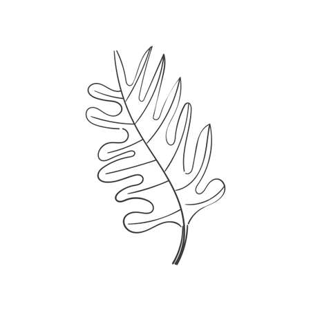 vintage floral elements doodle vector. Elements flowers, branches, swashes and flourishesのイラスト素材