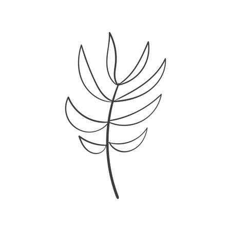 Hand Drawn Botanical Leaf Doodle Wildflowerのイラスト素材