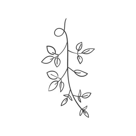 vintage floral elements doodle vector. Elements flowers, branches, swashes and flourishesのイラスト素材