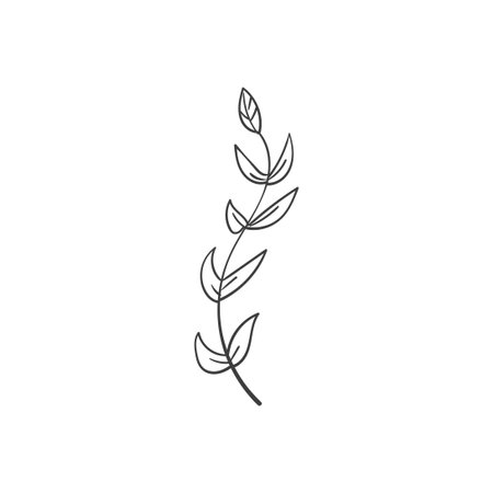 Hand Drawn Botanical Leaf Doodle Wildflowerのイラスト素材