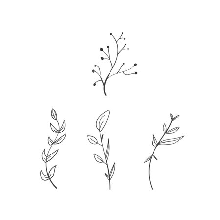 Set of vintage floral elements doodle vector. Elements flowers, branches, swashes and flourishesのイラスト素材