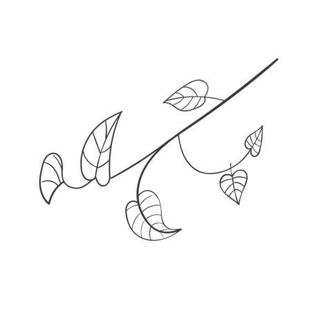 Hand Drawn Botanical Leaf Doodle Wildflowerのイラスト素材
